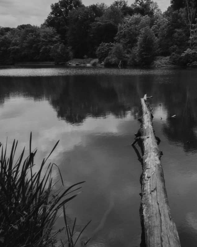 バルバラ ビュイさんのインスタグラム写真 - (バルバラ ビュイInstagram)「ENJOYING A QUIET PLACE FOR A PEACEFUL MOMENT⁣ ⁣ photo - @thomasgoldblum⁣ ⁣ #inspiration #peacefulplace #forest #intothewild」10月27日 15時00分 - barbarabuiofficial
