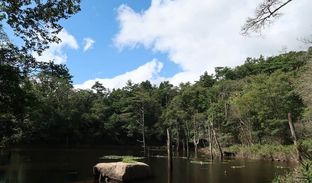 日本の国立公園のインスタグラム