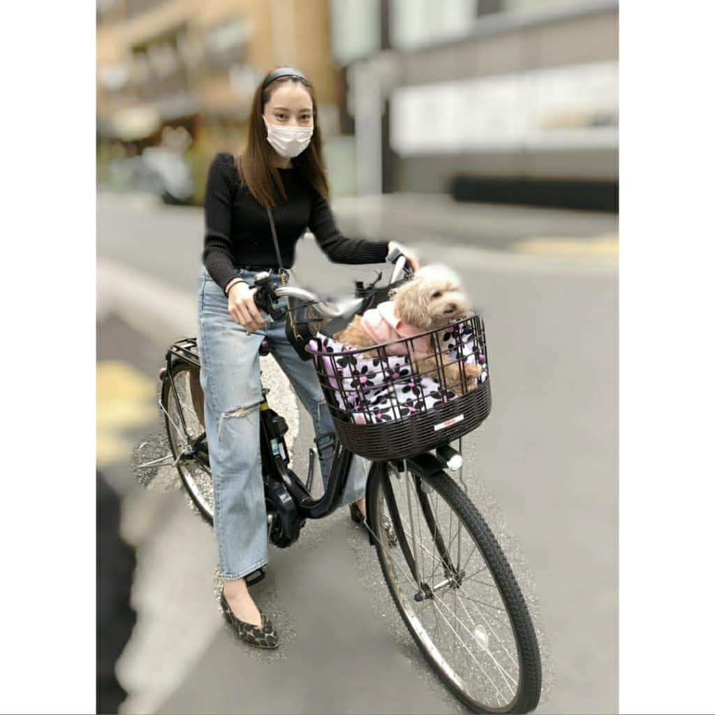 池田夏希さんのインスタグラム写真 - (池田夏希Instagram)「とある日の私とこむぎとママチャリ🚲💨 . みんなよくオシャレな自転車乗ってるけど、私は地元のイトーヨーカドーで買ったシンプルな電動自転車です😂 電動自転車は筋肉のない私でもスイスイ進むから便利過ぎる✨ 最近は自転車でこむぎと都内をおでかけしたりもしてます🐶💕 しかーし、中学生の頃から自転車が似合わないと言われ続ける私…。 会った瞬間だいたい笑われるけど気にしないもんねーだ😂(笑) . #電動自転車 #自転車 #自転車女子 #ママチャリ #イトーヨーカドー #自転車が似合わない #昔から言われる #自転車のある風景 #自転車のある生活 #自転車日和 #自転車好き #こむぎとおでかけ #愛犬 #愛犬のいる生活 #electricbicycle #bicycle #bicyclelife #bicyclephotos #bicyclelove #bicyclegirl #komugi #petdog #goout #lifewithapetdog #instabicycle #instalife」10月27日 15時13分 - natsukiikeda624