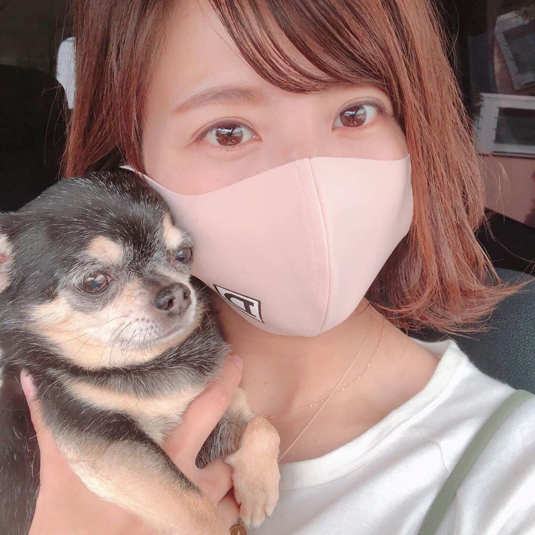 小畑由香里のインスタグラム：「✤  バンビたんのワクチン来ました💉  病院着いたとたん ぶるぶる震えていたけど💦  心臓の雑音もなく 体重もキープで 問題なかったから 一安心😌♡」