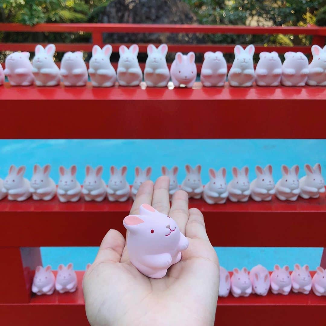 小川沙樹のインスタグラム：「岡崎神社でうさぎみくじ引きました🐰 今年4回目のおみくじなんですが中吉だったので、大吉を引くまで色々な場所で引き続けます😂」