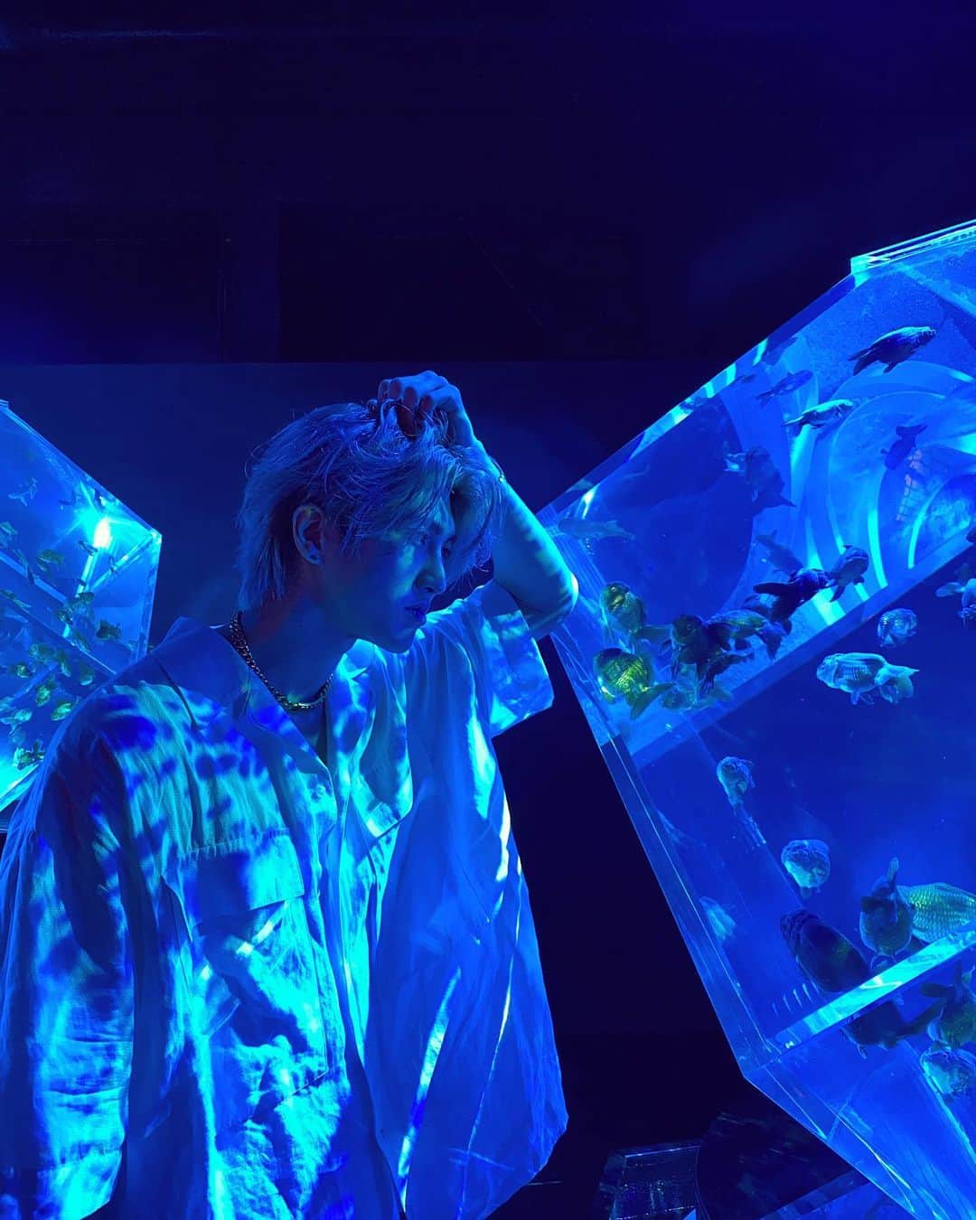 原田デイビッドさんのインスタグラム写真 - (原田デイビッドInstagram)「Sink beneath the surface and you are free. 🙏  📸: @tsuyoshikiritoshi   #blue #water #aquarium #aqua #fish #goldfish #white #reflection #color #surface #vibe #chill #calm #tokyo #japan #photo #photography #art #light #海 #水 #アート #東京 #日本 #青 #ヒカリ #写真」10月27日 17時35分 - davidharada_01