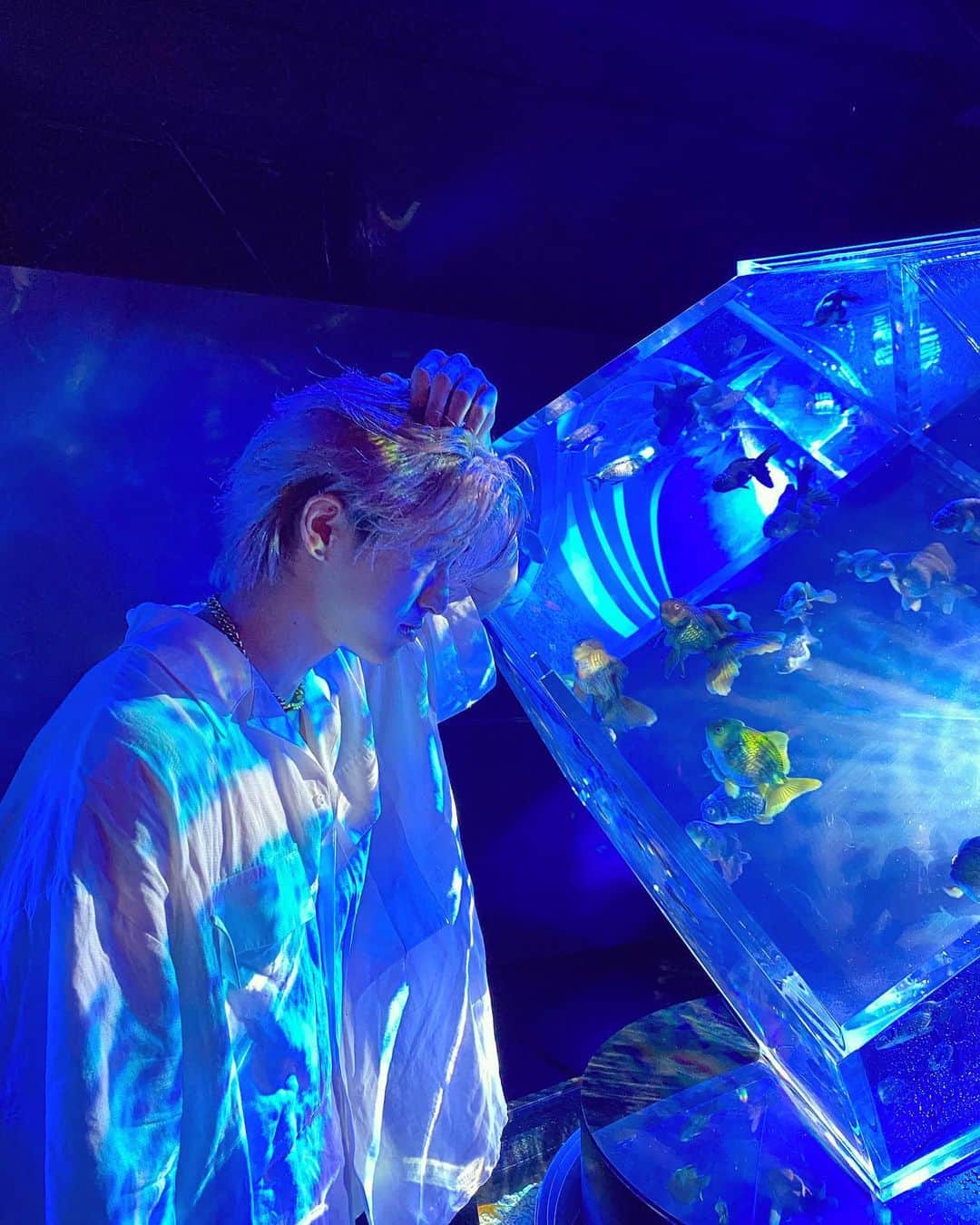 原田デイビッドのインスタグラム：「Sink beneath the surface and you are free. 🙏  📸: @tsuyoshikiritoshi   #blue #water #aquarium #aqua #fish #goldfish #white #reflection #color #surface #vibe #chill #calm #tokyo #japan #photo #photography #art #light #海 #水 #アート #東京 #日本 #青 #ヒカリ #写真」