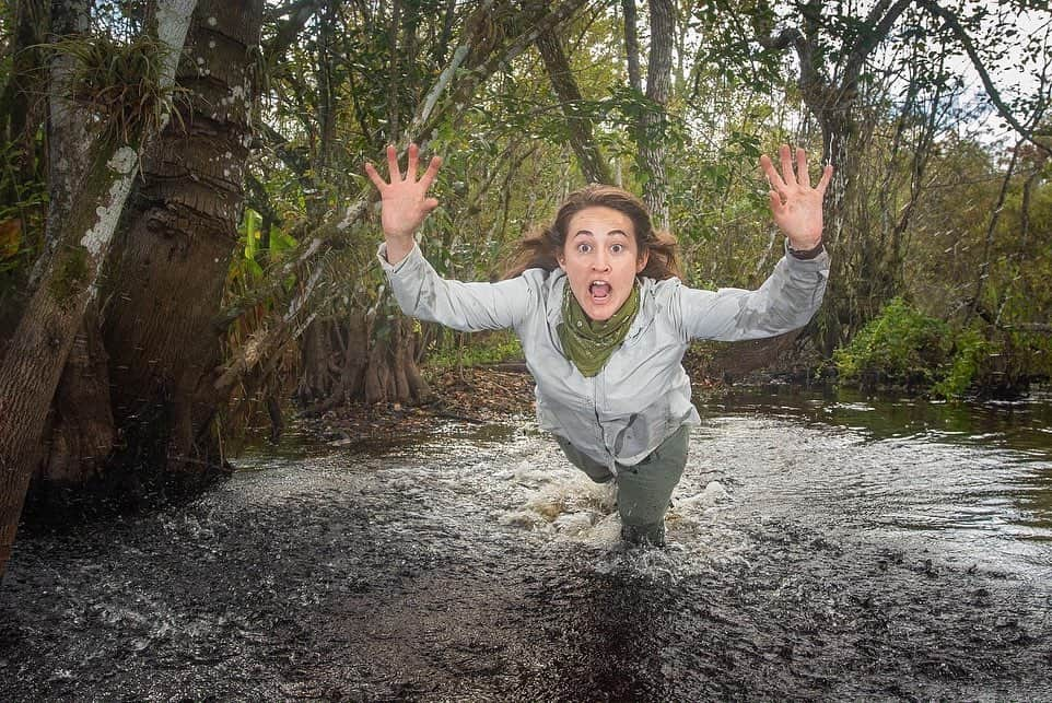 ナショナルジオグラフィックさんのインスタグラム写真 - (ナショナルジオグラフィックInstagram)「Photos by @carltonward / Deep in the Fakahatchee Stand in South Florida, conservationist Malia Byrtus sets and tests photo and video camera traps for our @pathofthepanther project. If all goes according to plan, a rare Florida panther will jump through the water on this flooded swamp trail, hopefully emulating Malia in the fourth frame. @PathofthePanther is a #LastWildPlaces Partnership with @InsideNatGeo. By revealing the story of the endangered Florida panther, we work to inspire the land conservation needed to save the Florida Wildlife Corridor, a statewide network of public and private lands. @fl_wildcorridor #keepflwild」10月28日 3時32分 - natgeo