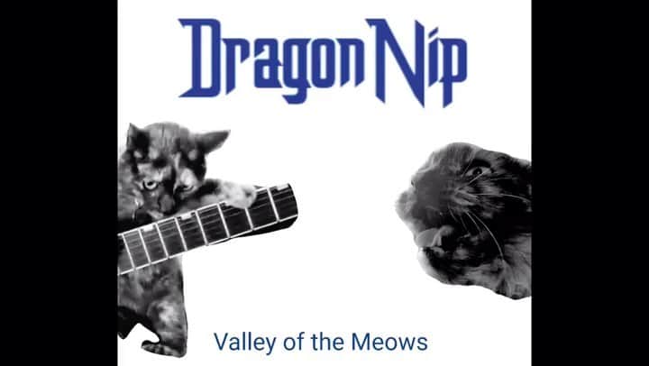 DragonForceのインスタグラム：「Truly everything has been thought of 😹 Repost @thoughtsofthekherkin “Valley Of The Meows”」