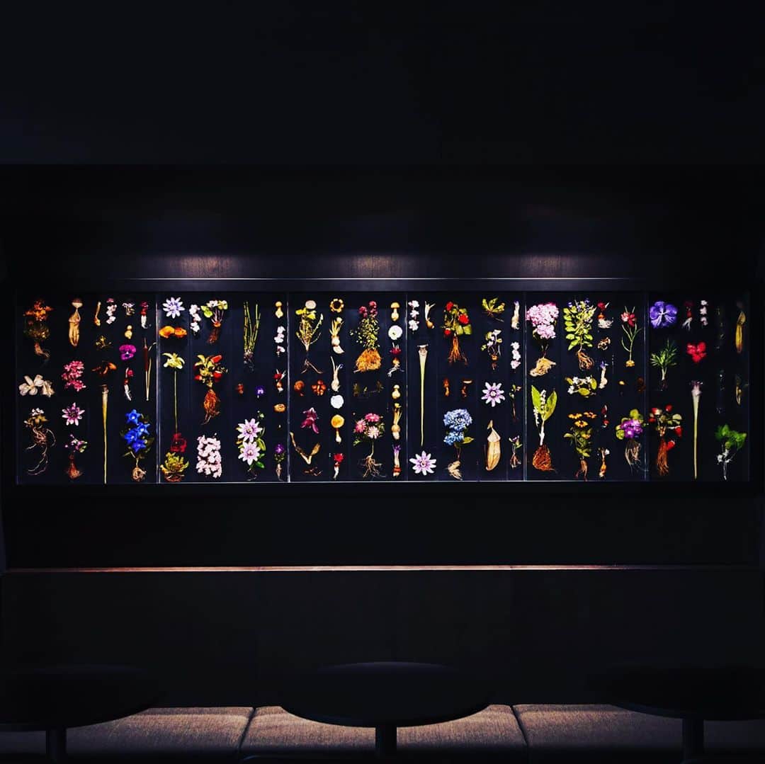 東信のインスタグラム：「Block Flowers  #amkk #amkkproject #makotoazuma #azumamakoto #東信花樹研究所 #東信 #jardinsdesfleurs #shiinokishunsuke #flowerart #flower #flowers #blockflower #blockflowers」