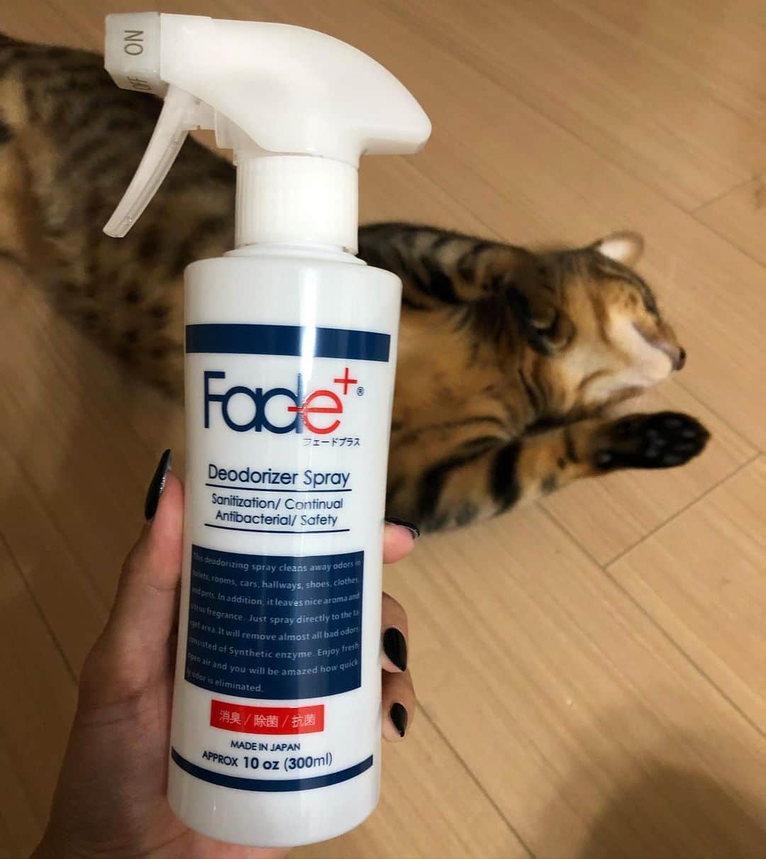 佐野千晃さんのインスタグラム写真 - (佐野千晃Instagram)「上着や洗濯できない洋服やランニング終わりのシューズには、脱いだ瞬間に絶対消臭スプレーをする私ですが良いもの見つけました🤤﻿ ﻿ これでダメならあきらめてください﻿ その効果にあなたも驚く﻿ ﻿ この強気なキャッチフレーズ好きwwwww﻿ ﻿ こたつに写真撮るの邪魔されながらもパシャパシャ📷ww﻿ ﻿ #フェードプラス #消臭スプレー #これでダメならあきらめてください #その効果にあなたも驚く ﻿ #cat #catstgram #catlovers #nyamnyam #nya #nyaaa #こたちゅくん #にゃー #にゃんこ #猫 #ベンガル #ベンガル猫 #猫好きと繋がりたい #猫のいる生活 #写真好きな人と繋がりたい #写真撮ってる人と繋がりたい」10月27日 19時46分 - sanochiaki810