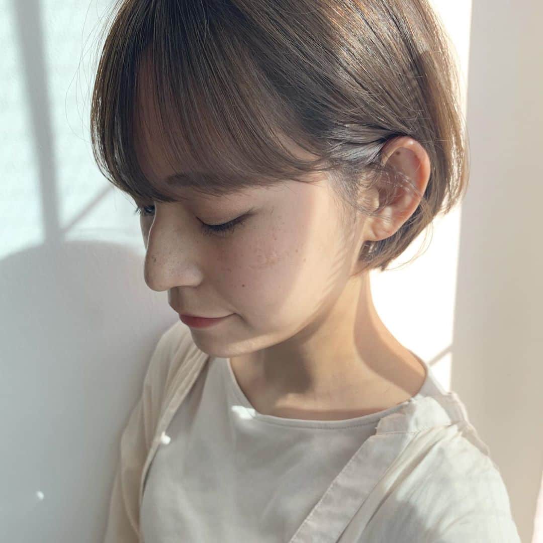 橋田昌実のインスタグラム：「初ショート❤︎﻿ ﻿ 色味はベージュに少しだけグレーを🐨﻿ ﻿ ﻿ ﻿ #ショートヘア」
