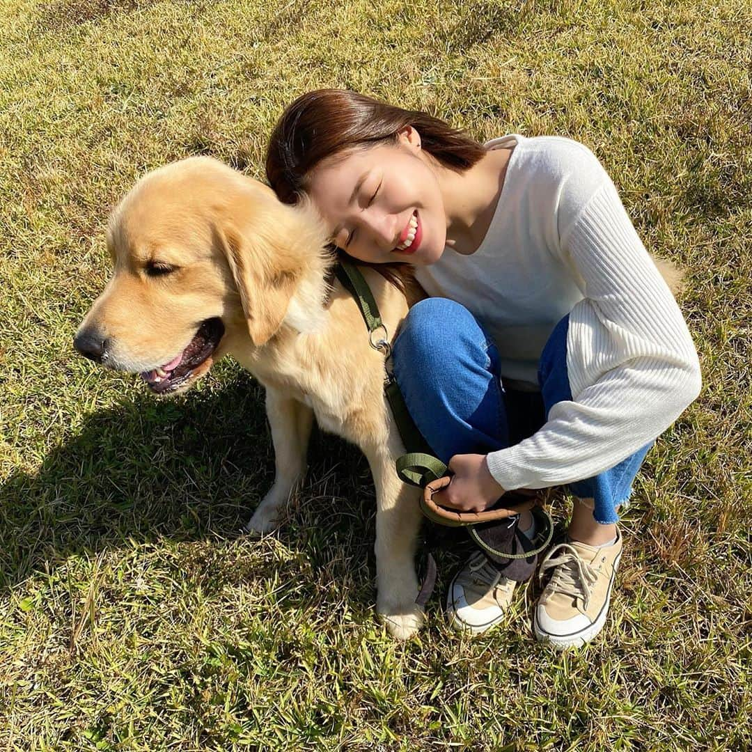 今田美奈さんのインスタグラム写真 - (今田美奈Instagram)「🐶☺️ お昼のお散歩ぽかぽかで楽しかった🌤 ベイとお出かけすると楽しい♪ . . . #goldenretriever#retriever#retrieversgram#retrieveroftheday#dog#dogstagram#doglover#doglife#dogs#instagood#daily  #レトリバー#ゴールデンレトリバー#ゴールデンレトリバーのいる生活#大型犬のいる生活#大型犬のいる暮らし#犬#犬のいる暮らし#강아지#강아지그램#골든리트리버#일상#데일리#데일리룩」10月27日 20時41分 - _minaimd.j_