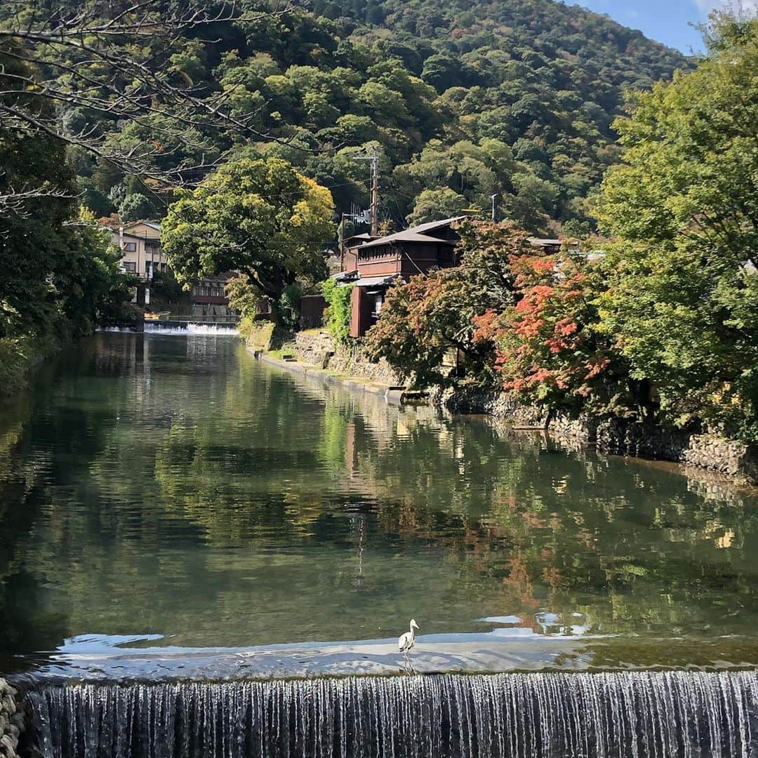 小川薫さんのインスタグラム写真 - (小川薫Instagram)「【秋の京都】 . 見ごろはまだ先そうですが 少しずつ紅葉もしています🍁 嵐山〜嵯峨野〜松尾大社  #kyoto #嵐山　#京都　#秋の京都  #おうちでclover #zoom #zoomオンラインレッスン  #オンライン料理レッスン　#オンライン料理教室  #salondeclover  #サロンドクローバー #小川薫 #おもてなし #おもてなし料理教室 #料理教室 #料理教室大阪　#料理研究家 #テーブルコーディネート #テーブルコーディネーター  #大阪料理教室 #cookingclass  #tablesetting  #tablecoordinate #おもてなし料理  #パーソナルレッスン #クリスマス　#クリスマス レッスン　#クリスマス料理　#クリスマスメニュー」10月27日 20時55分 - salondeclover