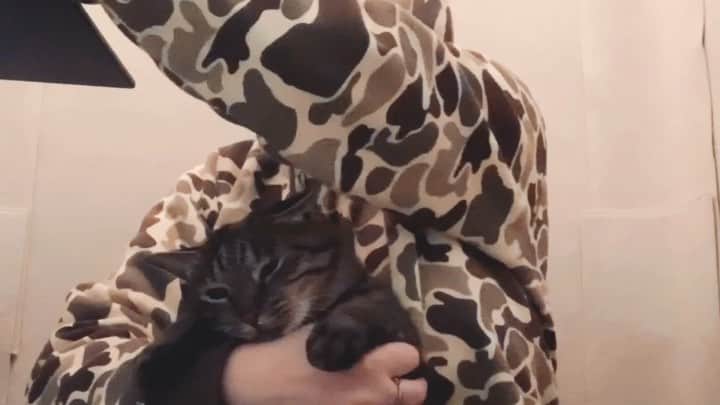のインスタグラム：「猫師匠直伝のドライフードの強制給餌のやり方。なるべく早くやるのがコツのようです。(麦さんはモデルとして参加させられているだけでとても元気です)」
