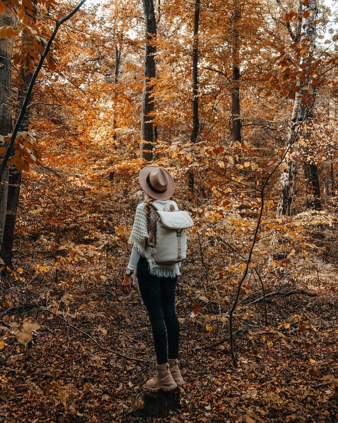 Kapten & Sonさんのインスタグラム写真 - (Kapten & SonInstagram)「'One small positive thought can change your whole day.' 🍂 Exploring nature with @sophieklex⁠ and our backpack Sundsvall "Sandstone"⁠. 🍁⁠ #bekapten #kaptenandson⁠ .⁠ .⁠ .⁠ #nature #fashion #inspo #ootd #style #backpack #outdoors #fashioninspo #happy #outfit #travel #explore #autumn⁠ ⁠」10月27日 21時01分 - kaptenandson