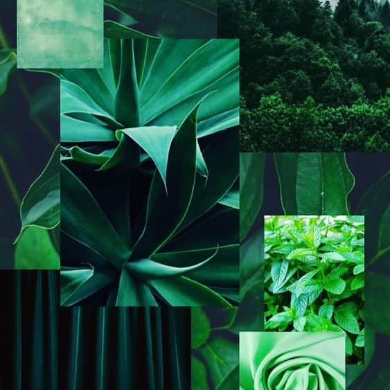 のインスタグラム：「#feelinggreen💚」