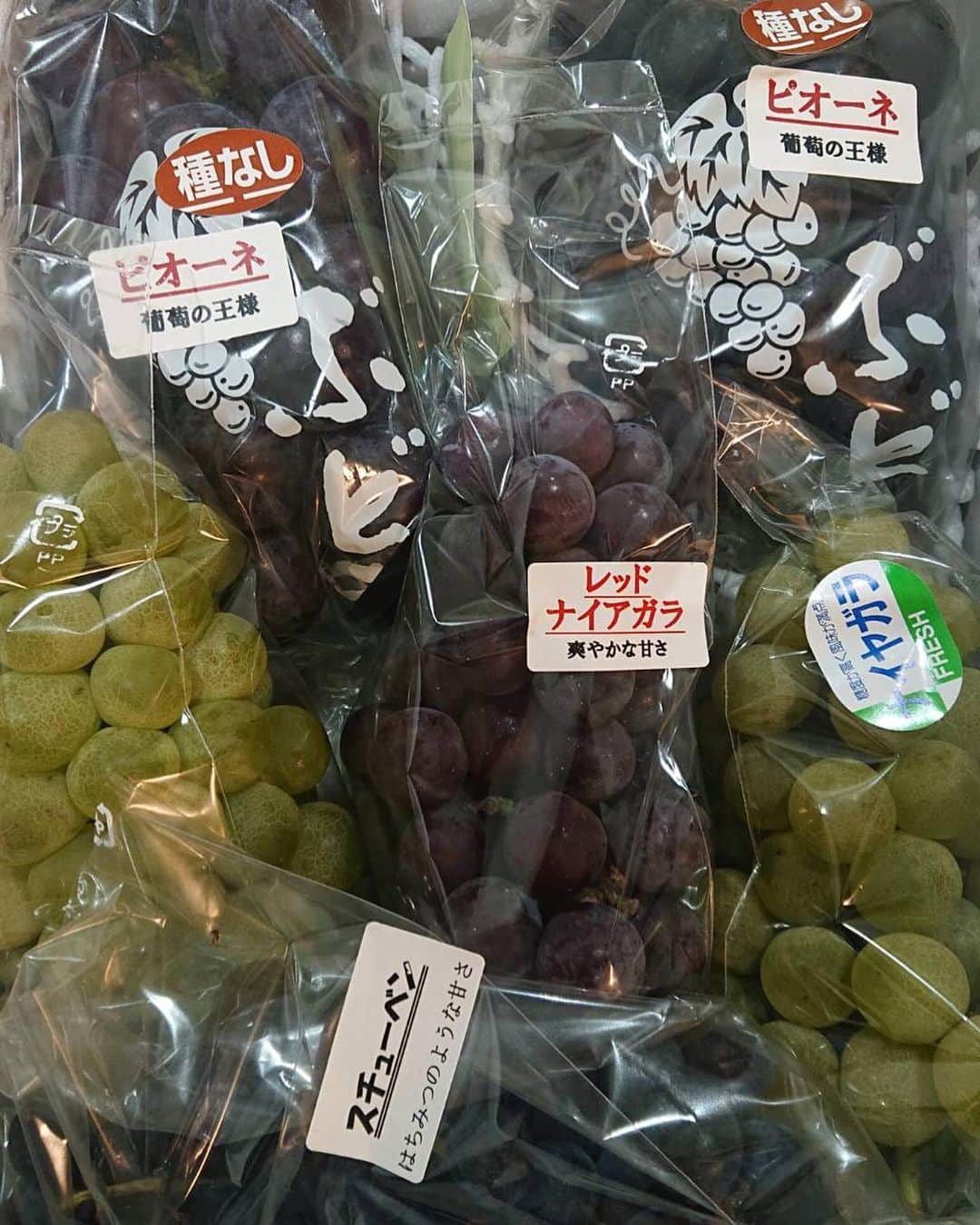鈴木福さんのインスタグラム写真 - (鈴木福Instagram)「長野県伊那市に住む大伯母さんから、ぶどうが届きました！！ ありがとう！！  いろいろな種類を送ってくれました！めちゃおいしいです！ ナイヤガラおすすめ！  #ぶどう#長野県#伊那市#いなっていいな#ありがとう」10月27日 21時23分 - s_fuku_te