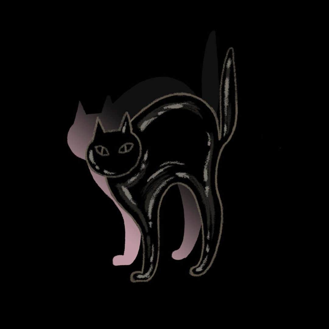 晴日のインスタグラム：「Happy Black Cat Day 🖤」