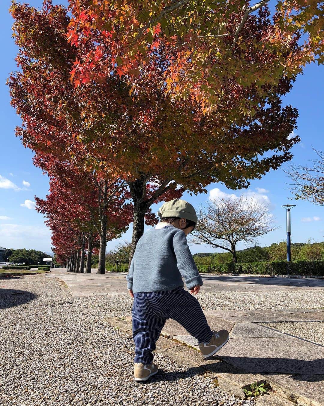 太田宏介さんのインスタグラム写真 - (太田宏介Instagram)「『オフは岡崎へ』 愛知県は大きな公園がとても多い。 子供を遊ばせるのに最高の環境。 小さい頃、祖父母によく連れて行ってもらった公園に自分が子供を連れて行く。 なんて最高なんだ！ 息子の笑顔がたくさん見れてパパは嬉しいよ👨‍👩‍👦🍁」10月27日 21時37分 - kosuke_ota_official
