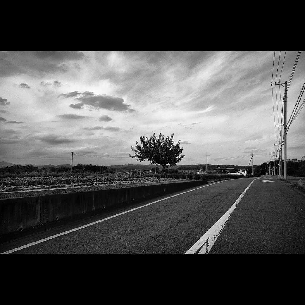 Tatsuo Suzukiさんのインスタグラム写真 - (Tatsuo SuzukiInstagram)「Akigawa,Tokyo」10月27日 21時58分 - tatsuo_suzuki_001