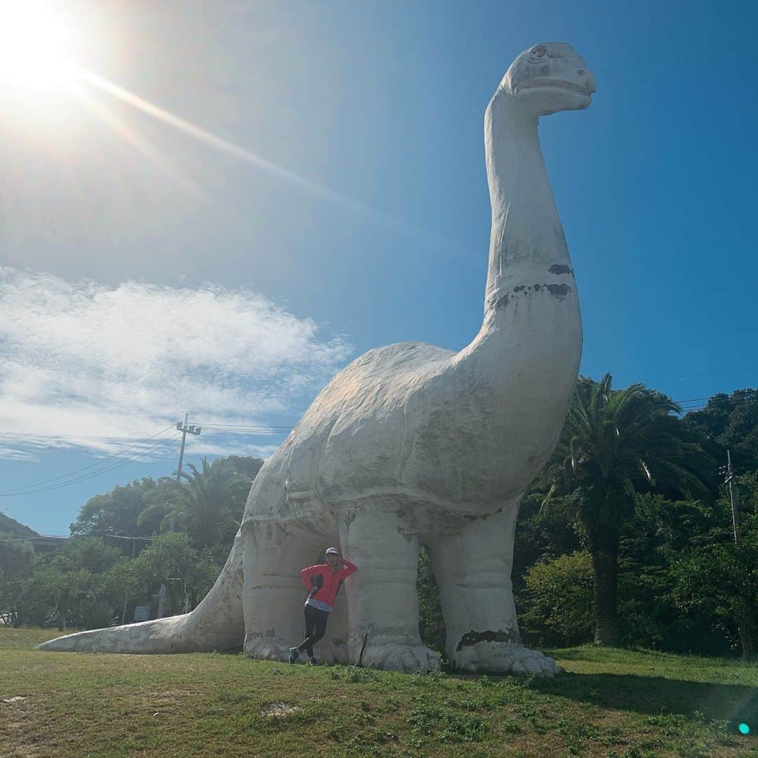 彼方茜香さんのインスタグラム写真 - (彼方茜香Instagram)「因島アメニティ公園♥ 「島RUN」の撮影で行ったしまなみ海道で迫力満点やった恐竜！ 「ザウルくん」って名前があるそう。 ドローン撮影待ちにいろんな角度から写真撮ってました（笑） てっぺんに鳥がとまってたの可愛かった(^^)v しまなみ海道めっちゃよかったなー。  #島run #しまなみ海道 #因島アメニティ公園 #巨大恐竜」10月27日 22時18分 - serikaochikata