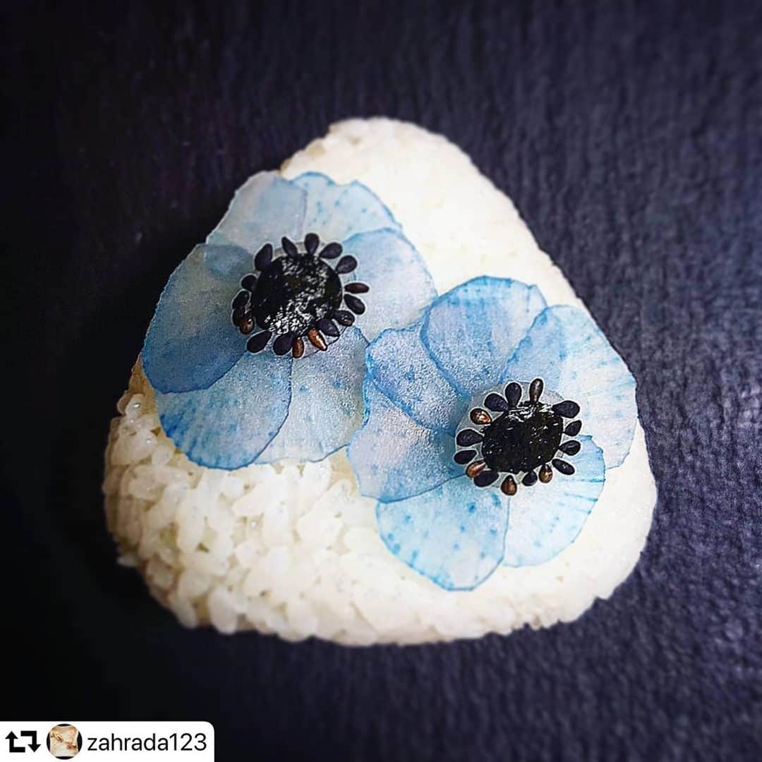 スピルリナのDICライフテック株式会社さんのインスタグラム写真 - (スピルリナのDICライフテック株式会社Instagram)「@zahrada123 さま、リポストです😊 . . 繊細で美しいブルーのお花にうっとりです🥺👏🏼✨💠 . おにぎりアクション、素敵な企画ですね🍙💙✨ . #スピルリナ#dicスピルリナ #フードアート#おにぎりアート　#おにぎりあくしょん2020 #オニギリアクション  #手作りおにぎり#spirulina #linablue #onigiri #onigiriaction  ↓ . . 【OnigiriAction 2020】 おにぎりで、世界を変える。 昨年は大変素敵な賞をいただき、 まことにありがとうございました😊  わたしに今、できること🍙 #OnigiriAction  ↑このハッシュタグをつけて 写真を一枚投稿すると、 協賛企業から給食5食分に相当する 100円が寄付されます🍙  あなたの写真投稿が、 アフリカ・アジアの給食に🍙  #instagramjapan #foodart #japanesefood #riceball  #日本 #米#おにぎり#おむすび #胡麻#漬物#リナブルー #アネモネ  #奇妙なトースト の人が作るおにぎり🍙」10月27日 22時37分 - dic_spirulina