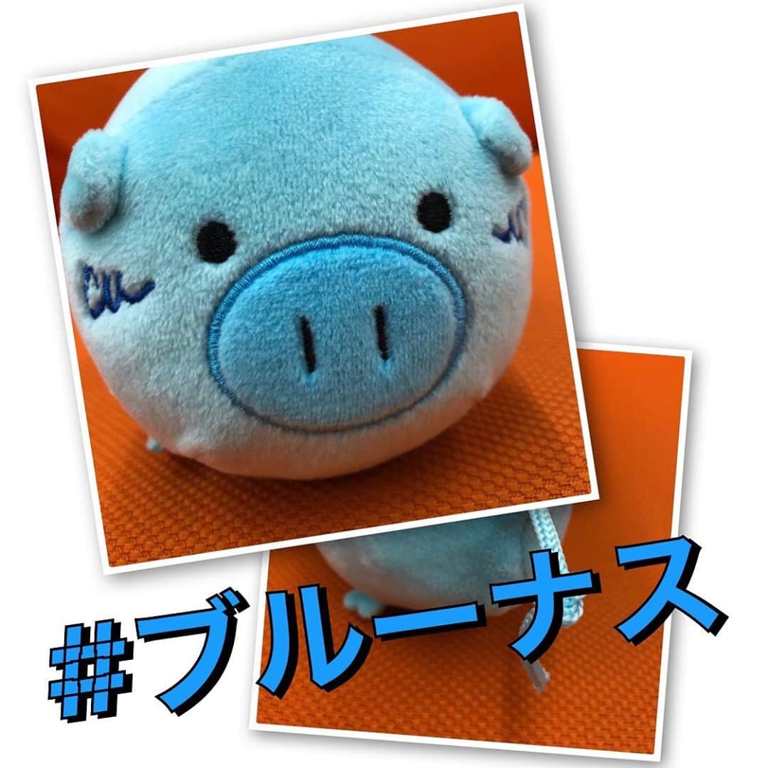 日曜劇場『危険なビーナス』【公式】のインスタグラム：「現場レポート　その30🐖🐖🐖 . . 昨日紹介させていただいた ブーナスのお友達🐽💓 . . 皆さまのおかげで名前が決まりました✨ . 一番多く寄せられた名前... 「ブルーナス」に決定です🐷‼️ ブーナスとともにレポート頑張りますので よろしくお願い致します🥺💦 . . #日曜劇場 #危険なビーナス #東野圭吾 #ブーナス #ブルーナス #ブーナスの現場レポート #妻夫木聡 #吉高由里子 #ディーンフジオカ #染谷将太 #中村アン #堀田真由 #結木滉星 #福田麻貴 #3時のヒロイン #R指定 #CreepyNuts #麻生祐未 #坂井真紀 #安蘭けい #田口浩正 #池内万作 #栗田芳宏 #栗原英雄 #斉藤由貴 #戸田恵子 #小日向文世」