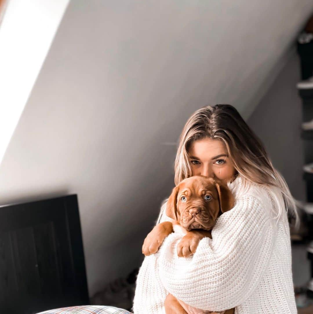 ニキ・ヴォリーズのインスタグラム：「Not upset about the start of this week, meet Harry. Morning cuddles with a puppy are the best ones 🐶. #notmypuppy #lovepuppylove #haveagoodweekeveryone」