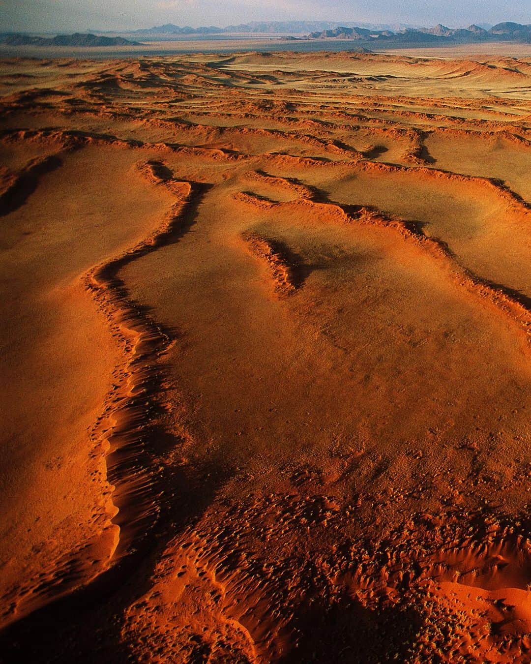 のインスタグラム：「Photo by George Steinmetz @geosteinmetz / Youcan judge the age of a desert by its color, as it takes thousands of years for the iron minerals of each sand grain to oxidize into a ripe orange. The dunes of the Namib are among the oldest on Earth and stabilized by colonies of grass that are nurtured by the coastal fog and its dew. These are fragile ecosystems, with living cryptobiotic soils. They can be scarred by careless car tracks, but are now protected by a strict legal system that preserves them in perpetuity. To explore more of our world from above, follow @geosteinmetz.」