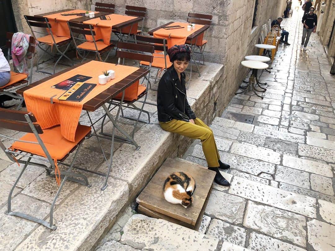 片桐ゆたかさんのインスタグラム写真 - (片桐ゆたかInstagram)「街にはたくさんの猫がいて 近くに行っても全然平気でなんだかすごく癒されたんだよね🐈 . . 広島の尾道の街にもこうゆう猫いるんだよ〜✨(余談) . . #新婚旅行#クロアチア #思い出投稿#片桐ゆたか #yutakakatagiri#Croatia」10月27日 23時46分 - yutaka_katagiri