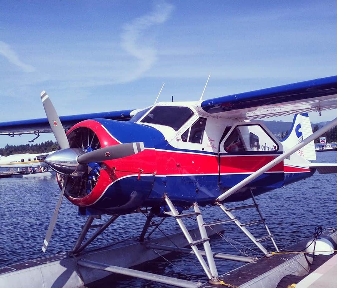 前田真里さんのインスタグラム写真 - (前田真里Instagram)「最近、肌寒くなってきたので あるあたたかい日＠カナダ・ソルトスプリング島へ行った時の写真をシェア♫  バンクーバーから初めて水上飛行機に 乗って友達に会いに行ったよき思ひ出。  離陸するときは、 スリル満点。楽しかった！😊  いつかファーマーズマーケットに ゆっくり行きたい🍀  ＃farmstay　#ファームステイ #strawberry   ＃canada #vancouver #victoria  #saltspringisland  #ソルトスプリング島 ほとんど、車をみかけない魅力的な #島 !!  野生の #孔雀 #鹿 が友達の家の玄関にやってきたけれどびっくりして写真とるの忘れてた...👀  #ENGLISH #study #nature  #Plane #hydroplane #水上飛行機 #飛行機 #イチゴ狩り #sea #travel #snap #streetphotography」10月28日 0時07分 - maedamari