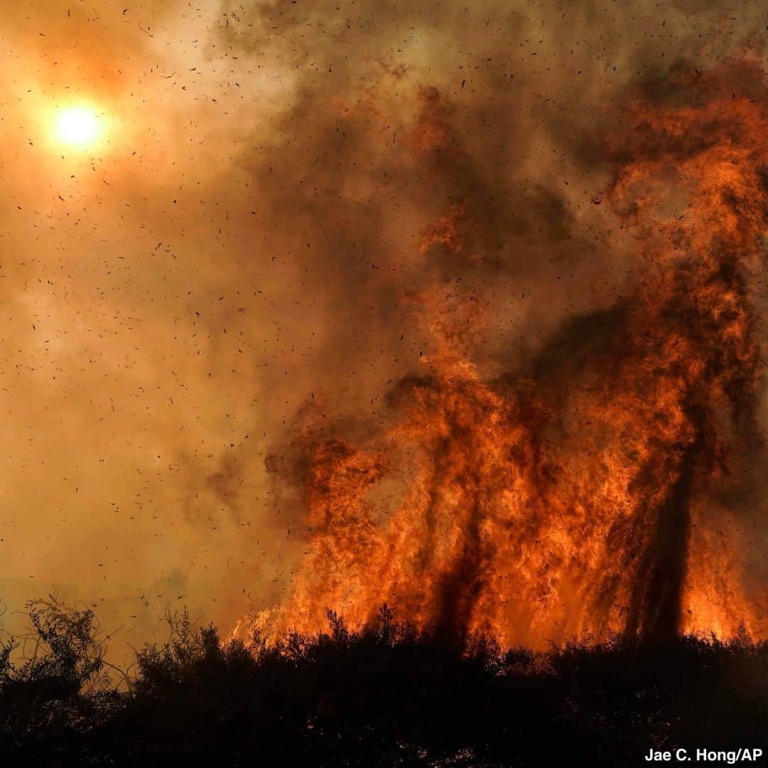 ABC Newsさんのインスタグラム写真 - (ABC NewsInstagram)「Firefighters put out hotspots while battling the Silverado Fire in Irvine, California, as Red Flag Warnings have been issued up and down the West Coast. #firefighters #wildfire #irvine #california #wildfires」10月28日 1時16分 - abcnews