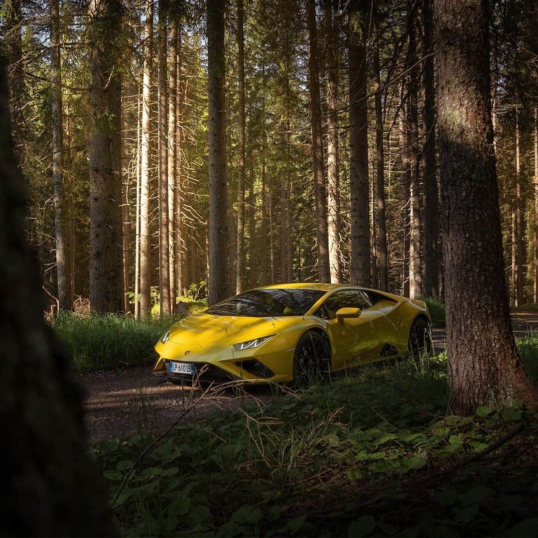 ランボルギーニのインスタグラム：「An energetic landscape and breathtaking views; the Alpine region of Trentino-Alto Adige offers this and much more. @brahmino and Huracán EVO RWD come together to explore this Italian land where lines and colors match and contrast, bringing out the best in them both.  #Lamborghini #HuracanEVORWD #RewindToRWD #WithItalyForItaly #TrentinoAltoAdige」