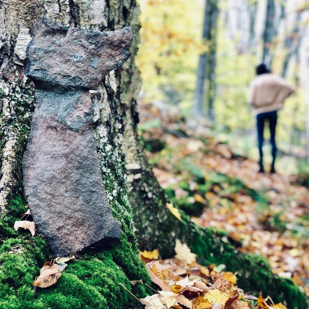 ポール・ブラックソーンさんのインスタグラム写真 - (ポール・ブラックソーンInstagram)「Catskill mountains in the fall. Nice time of year for it....」10月28日 2時32分 - paulblackthorne