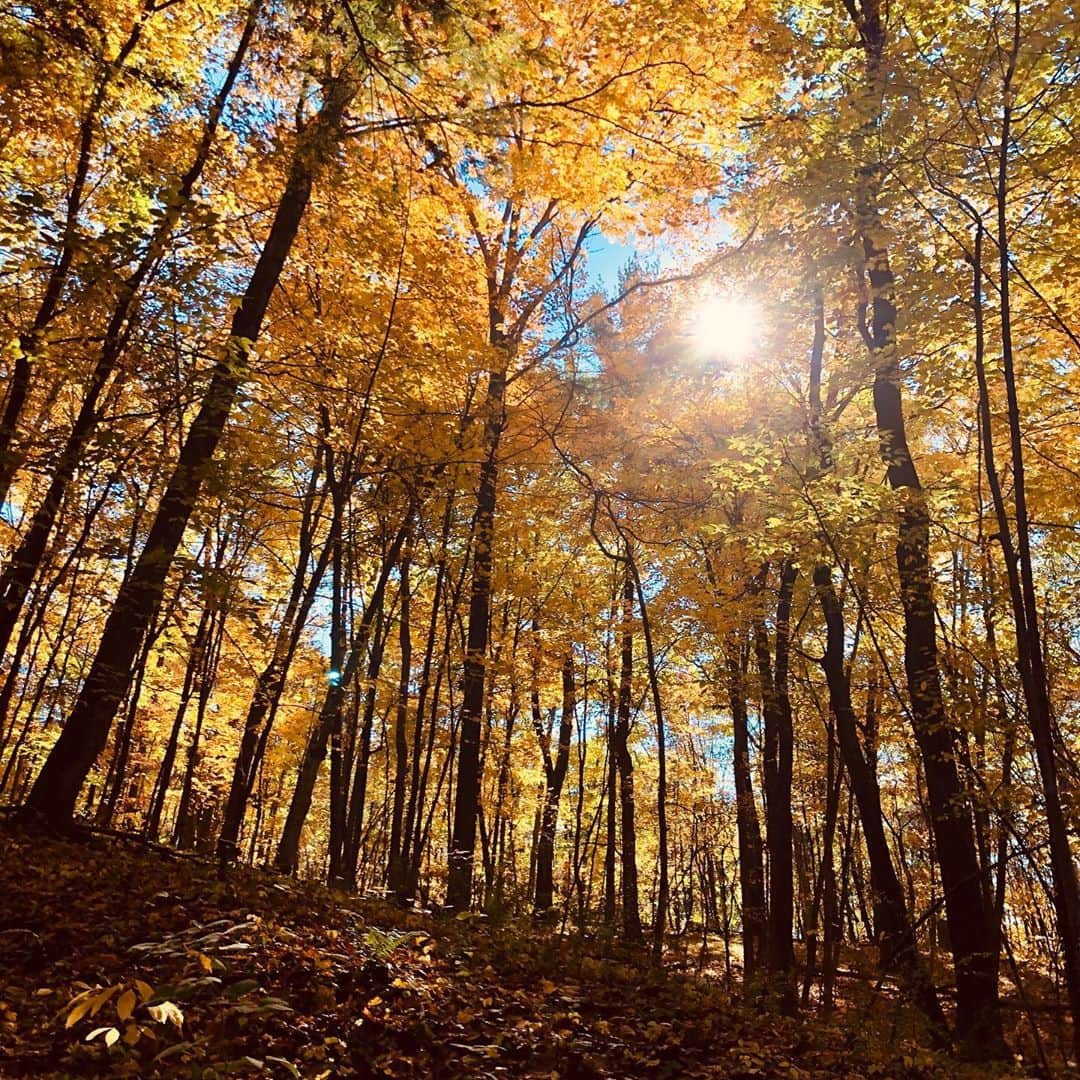 ポール・ブラックソーンさんのインスタグラム写真 - (ポール・ブラックソーンInstagram)「Catskill mountains in the fall. Nice time of year for it....」10月28日 2時32分 - paulblackthorne