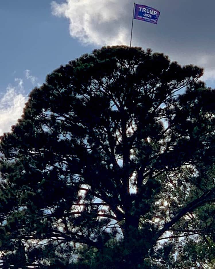 ドナルド・トランプさんのインスタグラム写真 - (ドナルド・トランプInstagram)「In Lufkin, Texas — someone was stealing Trump signs, so an anonymous tree climber put up 30 of them throughout the community. Love it, thank you! #MAGA」10月28日 2時43分 - realdonaldtrump