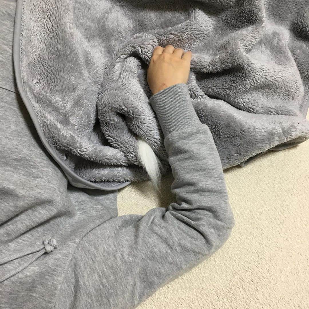 ちまのインスタグラム