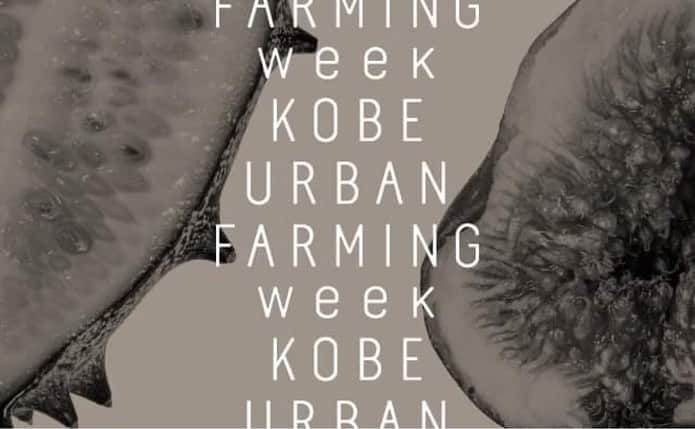 graf studioさんのインスタグラム写真 - (graf studioInstagram)「【 KOBE URBAN FARMING WEEK 】   神戸市は、大都市でありながら山と海に囲まれた立地から、豊かな農水産物に恵まれています。都市地域に「農」のある生活スタイルを進める「アーバンファーミング（都市農業）」をテーマに掲げ、事業に取り組んでいます。  11月を「神戸の食文化を考える月間」と位置付け、様々なアプローチから食文化とまちづくりについて考える企画を展開。  dot architectsとgrafで展示構成を担当し、神戸の食を表現するために風景や生産の流れを展示するような展覧会を開催いたします。  ◼︎未来につなぐ神戸の食 ーデザインと食の世界を一緒に考える NEW RELATION  旬の生産物などについて知ることができるスペースも設け、身近な場所で収穫できる食材を発見するきっかけを提示。 神戸では少量多品種の野菜づくりをしている方が多く、クラフトベジともいえる小規模生産の作り手がこだわりの味や製法に挑戦する姿を通してこれからの食について考えます。  会期｜2020年11月14日（土）−11月22日（日） 時間｜9:00-21:00  最終日のみ20:00まで 場所｜KIITO 1FギャラリーA  休館｜月曜日 料金｜無料  #食都神戸 #kobeurbanfarming #神戸市 #kobe #少量多品種 #家庭菜園 #eatlocalkobe #クラフトベジ #dotarchitects #graf #KOBEURBANFARMINGWEEK」10月28日 12時27分 - graf.studio