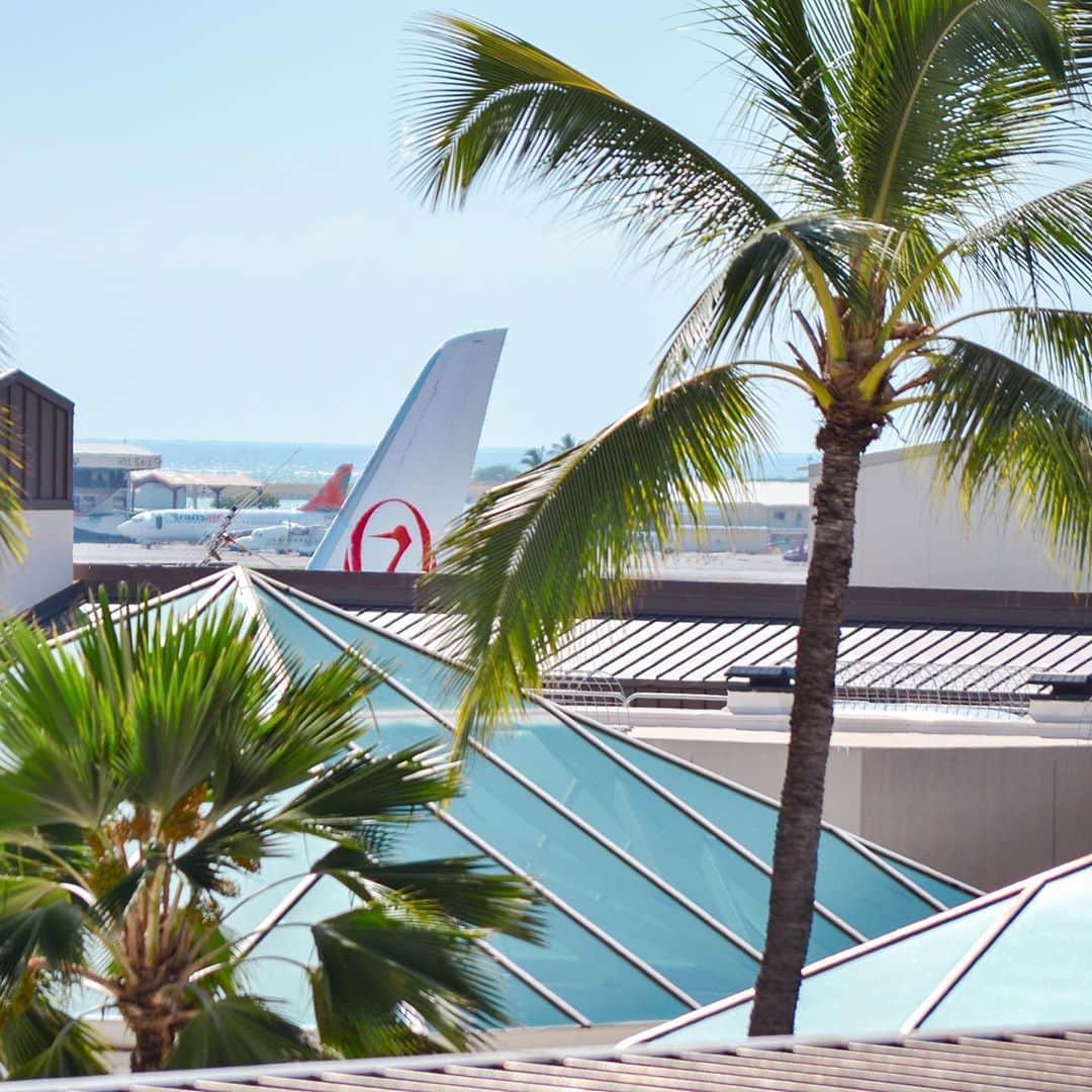 Aloha Street アロハストリートさんのインスタグラム写真 - (Aloha Street アロハストリートInstagram)「空港の駐車場からJALの臨時便の飛行機がチラリ✈️ 空を飛んで行くところもキャッチできました。また旅行が楽しめるようになるのが待ち遠しいです。(ユウリ)」10月28日 13時45分 - alohastreetcom_hawaii