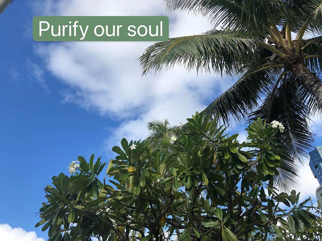 Honolulu Myohoji Missionさんのインスタグラム写真 - (Honolulu Myohoji MissionInstagram)「⛰  Purify our soul   In order to decide in our mind that we will become happy and advance, we must give rise to that desire.  When our soul shines, that desire naturally arises.  What we must do so that our soul will shine?  To purify the soul, faith and practice is foremost. Through the practice of faith and practice, which begins with meditation, our soul is naturally purified.  * * * * #ハワイ #ハワイ好きな人と繋がりたい  #ハワイだいすき #ハワイ好き #ハワイに恋して #ハワイ大好き #ハワイ生活 #ハワイ行きたい #ハワイ暮らし #オアフ島 #ホノルル妙法寺 #HawaiianAirlines #ハワイアン航空 #思い出　#honolulumyohoji #honolulumyohojimission #御朱印女子 #開運 #穴場 #パワースポット #hawaii #hawaiilife #hawaiian #luckywelivehawaii #hawaiiliving #hawaiistyle #hawaiivacation」10月28日 13時45分 - honolulumyohoji