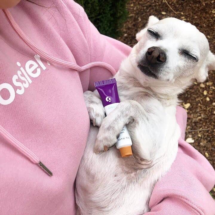 Glossierさんのインスタグラム写真 - (GlossierInstagram)「Complimentary watchdog with each order of Balm Dotcom (we wish)」10月28日 5時30分 - glossier