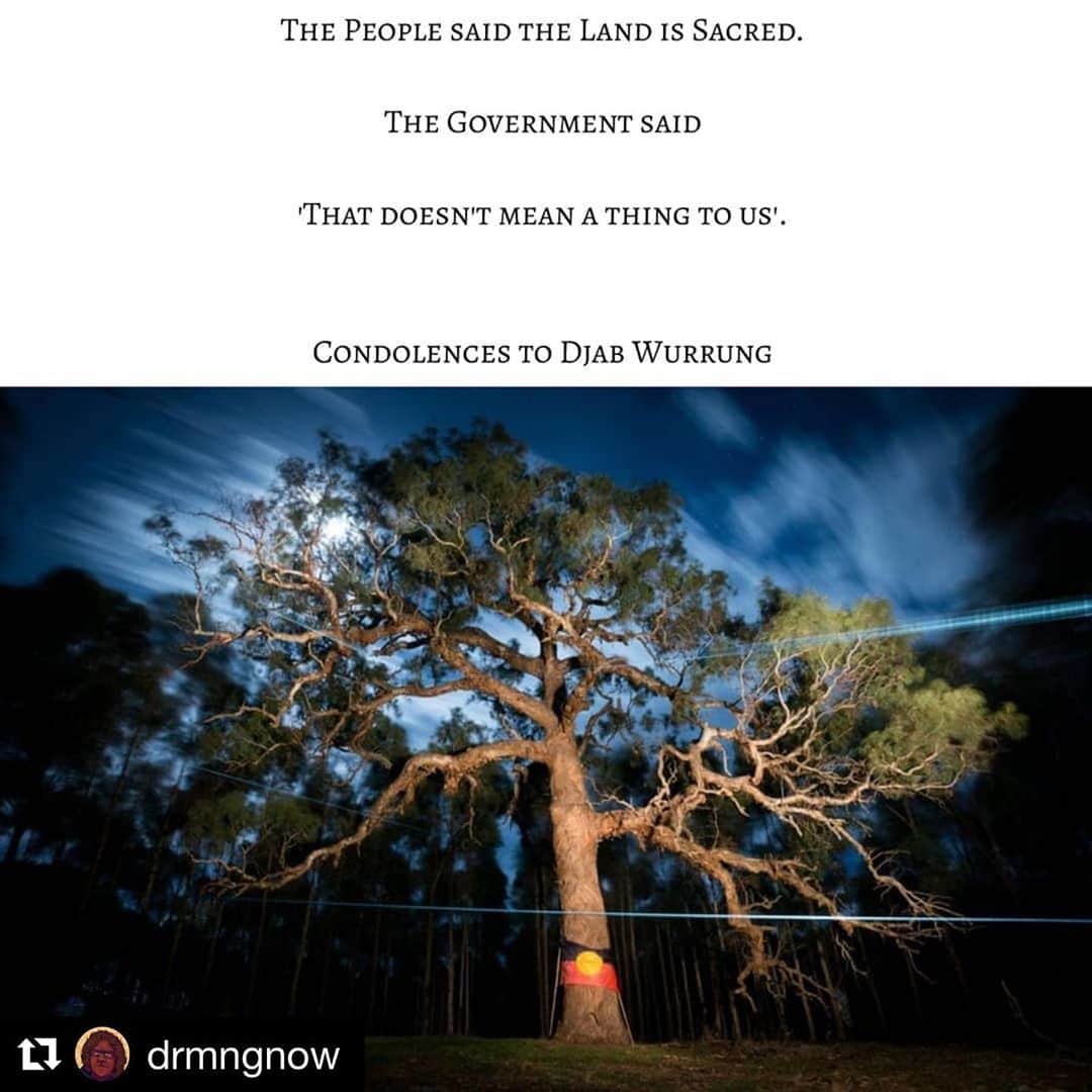 コートニー・バーネットのインスタグラム：「Link in my bio to take action & support the Djab Wurrung Embassy. Call Premier Dan Andrews (03) 9651 5000 today — Repost @drmngnow Today the directions tree as declared of special Sacred Significance to the Djab Wurrung had its life taken..  Condolences to Djab Wurrung and the sacred that has been impacted in this way today as state 'Authorities' descended on the site today . This after @dwembassy  has been protecting  country from this very tumultuous moment arising for the best part of the past three years.   Heinous and Heartbreaking  Link in Bio to stop work petition  to voice your concerns around any further destruction to sacred Djab Wurrung Lands   https://www.melbournefoe.org.au/stop_work_now」