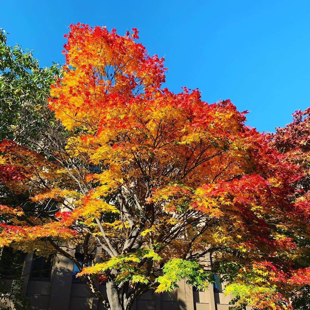 小新井涼のインスタグラム