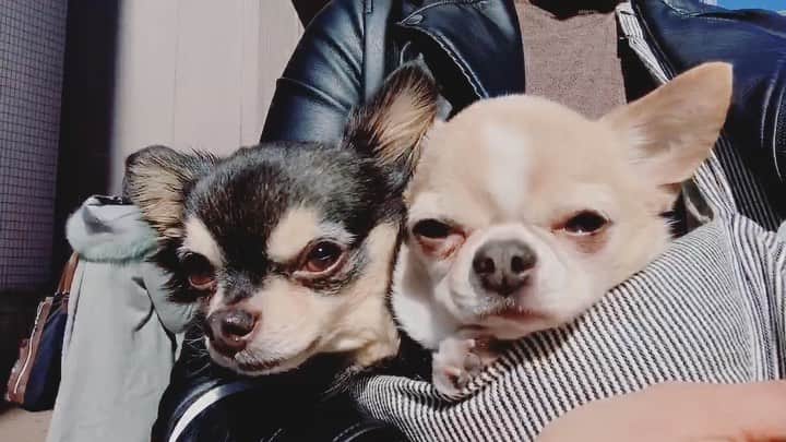 maika_kikitoyjijiのグルメインスタ