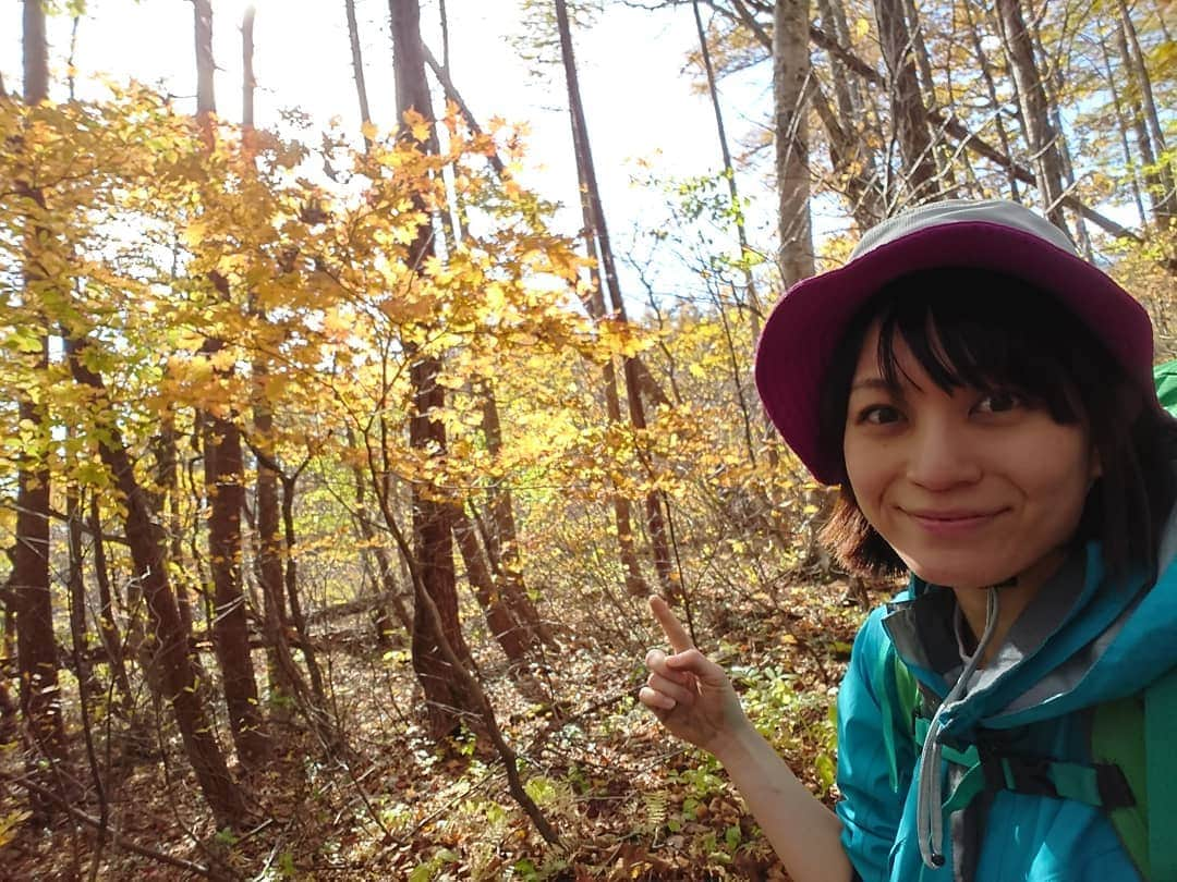 桜花さんのインスタグラム写真 - (桜花Instagram)「おはようございマウンテン🗻🌷  昨日はバスの中と 帰ってすぐ爆睡したので早めに目覚めました🌷🗻  紅葉🍁していてきれいでした✨  安達太良山と岳温泉の想い出、 少しずつアップしていきます✨  #安達太良山  #岳温泉  #紅葉 #山登り  #山  #自然  #mountain #mountains  #mountaingirl」10月28日 6時40分 - mountainohka