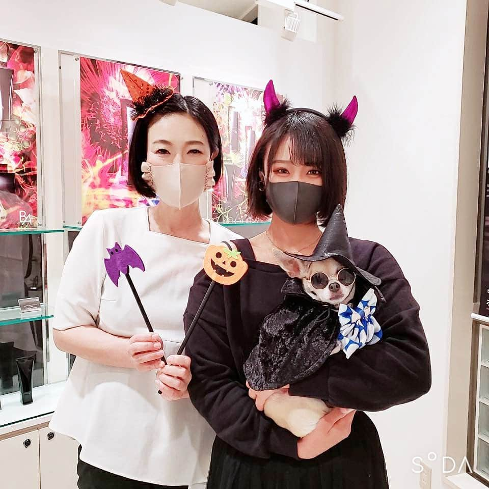 紋次郎さんのインスタグラム写真 - (紋次郎Instagram)「Happy Halloween in POLA @pola_tokorozawapurope  可愛らしいスタッフさん達と @mutumio22 さんとハロウィン🎃👻 ほんとみんな仲良くて楽しそうだった🥰 @pola_tokorozawapurope さんのアカウントでも紋次郎を紹介してもらってます😊😊 2.3枚目　photo @mikiko_12   #dog#dogstagram#instadog#chihuahua#barkbox#mydogiscutest#buzzfeed#dog_features#fluffypack#barkpack#dogsofinstaworld#dogsofinstagram#犬#チワワ#手作り#handmade#着物#fashion#紋次郎一家#チーム茶#ふわもこ部#igersjp#peco犬部#dogsofinstagram#dogfashion #halloween」10月28日 6時54分 - montjiro