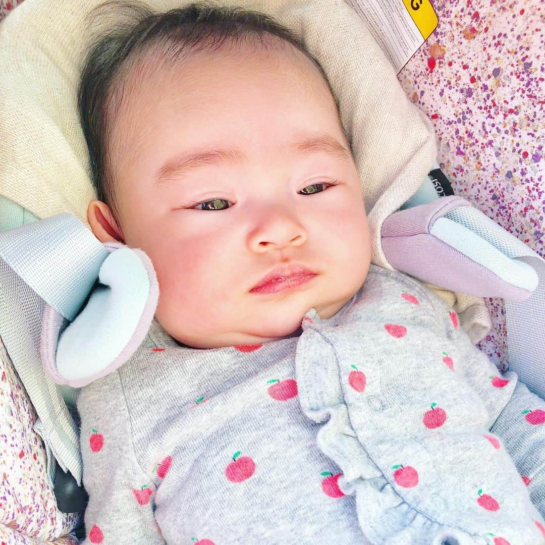 栄田祥子のインスタグラム：「まどろむまんじゅうちゃん。 眉毛が豊かになり親方感出てきた！ 起き抜けの瞳がうるうる波立っている時が好き。」