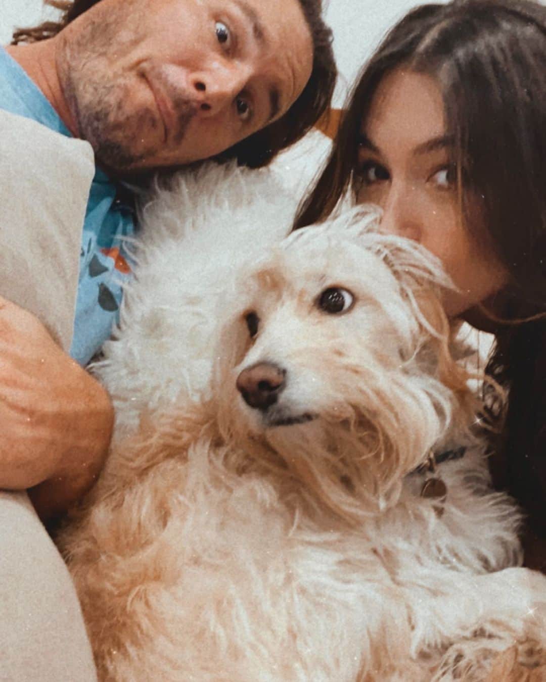 ケイト・ボイージェルのインスタグラム：「Christmas card material?? 🐾👩🏻‍🤝‍👨🏼 love this crew so much ❤️」