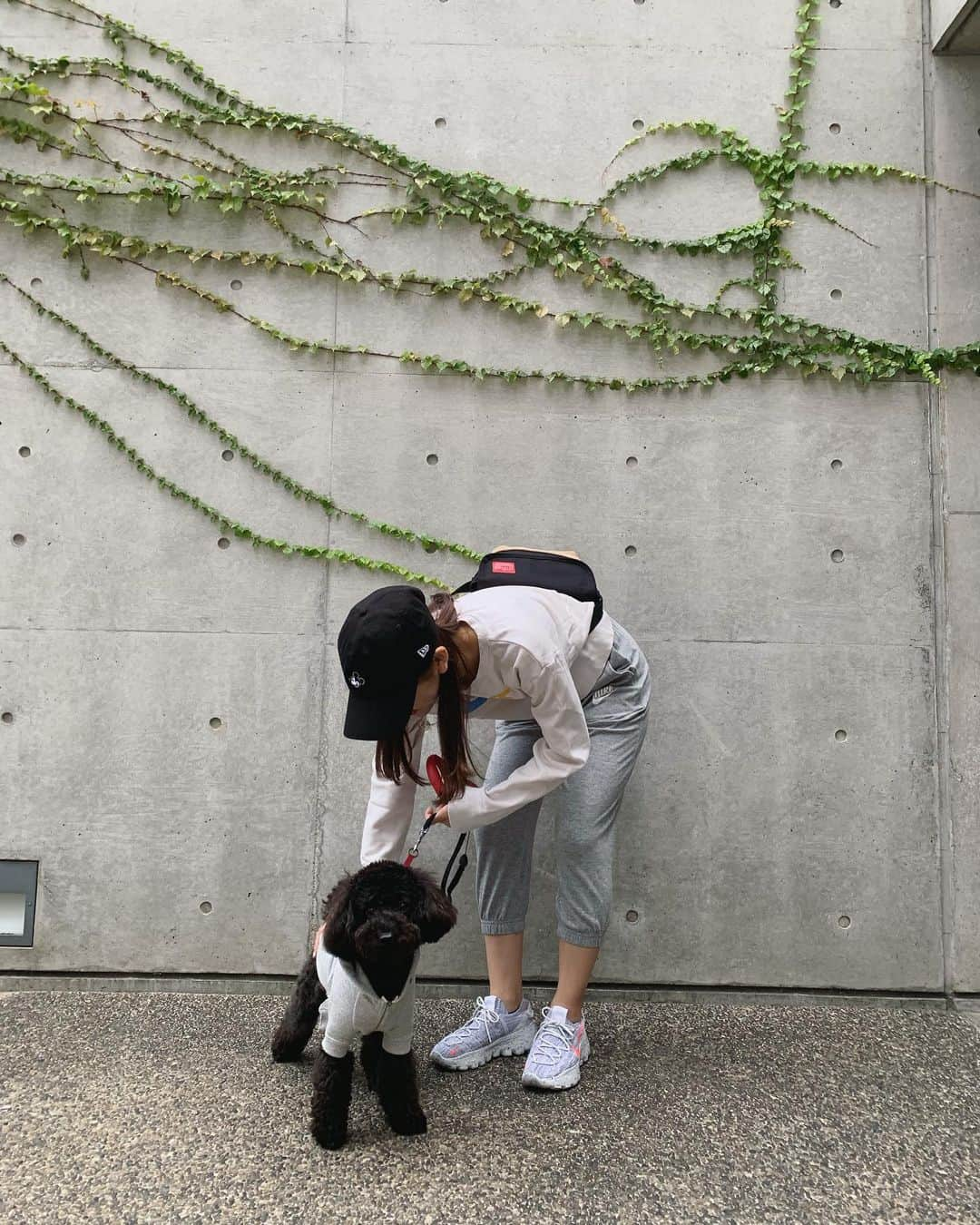 今井美桜さんのインスタグラム写真 - (今井美桜Instagram)「＊ お散歩コーデ！！  可愛いウル🐶💕 女の子だけど、ボーイッシュな服が似合うこと！  そういえば、犬と人間は1万年前から共存しているんだって😳 犬といると、オキシトシンが分泌(愛情、癒しホルモン)され心理的にも健康的にも効果があるそうですよ！  セロトニンやフェニルエチルアミンも人間の心を穏やかにしてくれるらしく、私も助けられてるんだーと😂  .  #大切な家族 #犬 #犬のいる暮らし #トイプードル #ブラック #ブラックプードル #ナイキ #ナイキスニーカー #ナイキコーデ #カジュアルコーデ #ファッション #お散歩 #コーデ #スポーツ #プードル」10月28日 7時53分 - mio_ima49