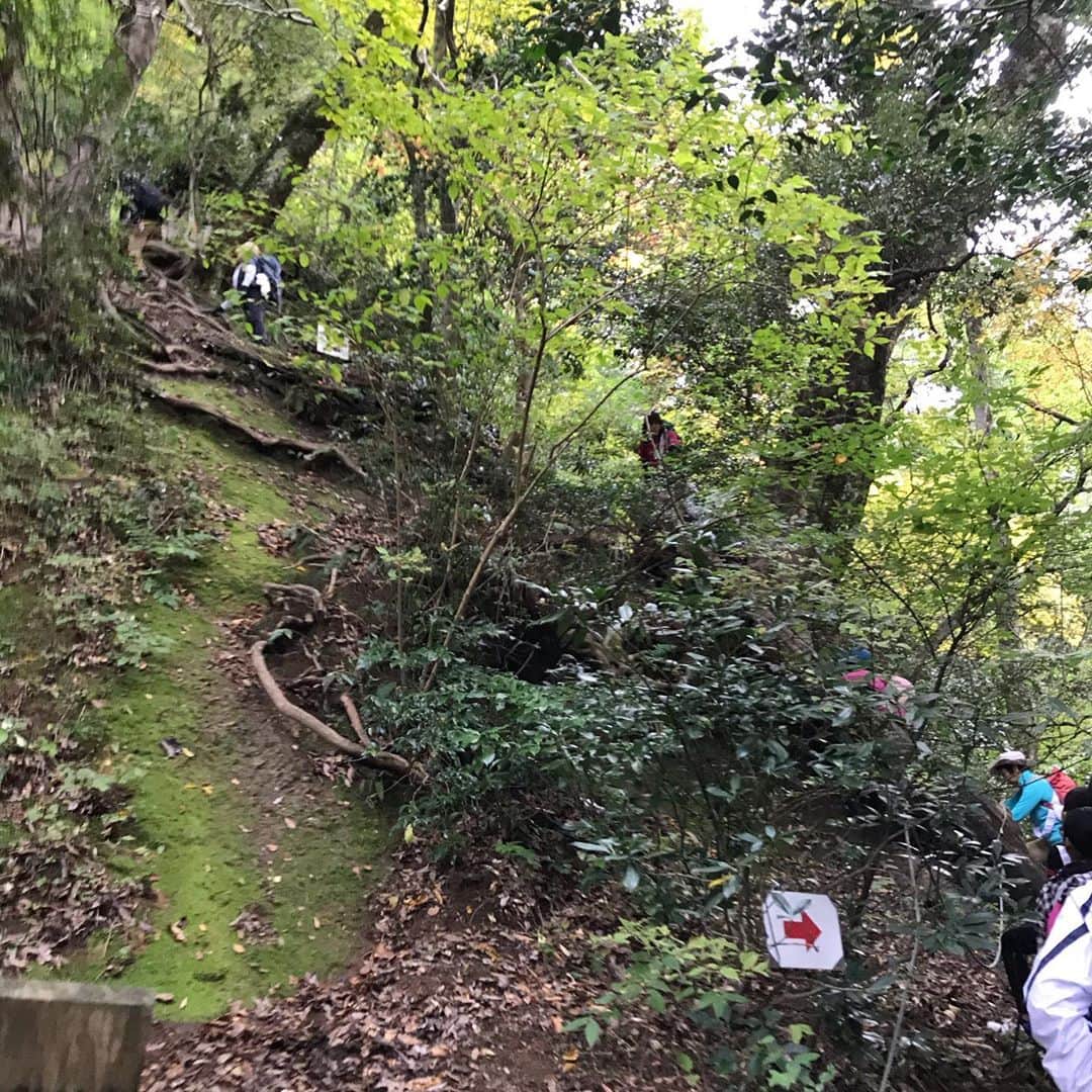 小谷あゆみのインスタグラム：「では行ってきまーす！ #三徳山投入堂  #国宝  15時前ぐらいかライブ配信予定〜」