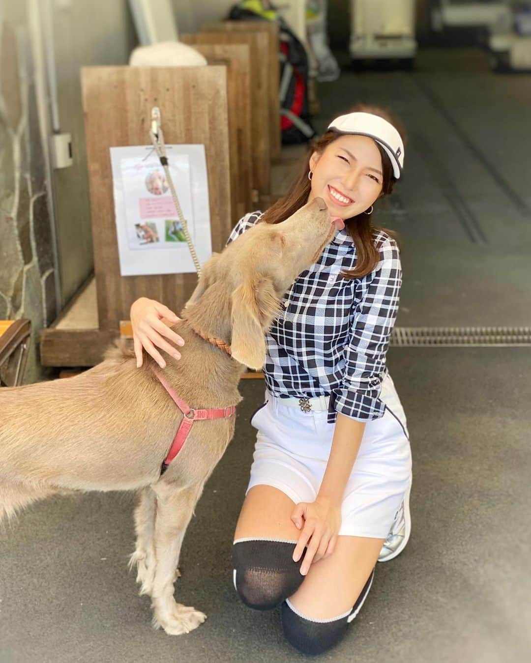 のインスタグラム：「* 千葉バーディクラブの看板犬ハナちゃん🐕 かわいいいい☺️❤️ コースも綺麗でとても好き🦢✨  普段在宅多いけど今日は出社👩‍💻！ 1日頑張りましょ🙌🏻✨  #ゴルフコーデ #ゴルフ #ゴルフ女子 #golf #golfgirl #footjoy #フットジョイ #秋 #秋コーデ #秋服 #ファッション #ootd #coordinate #outfit #fashion #千葉バーディクラブ #犬 #看板犬 #dog #白鳥 #swan」