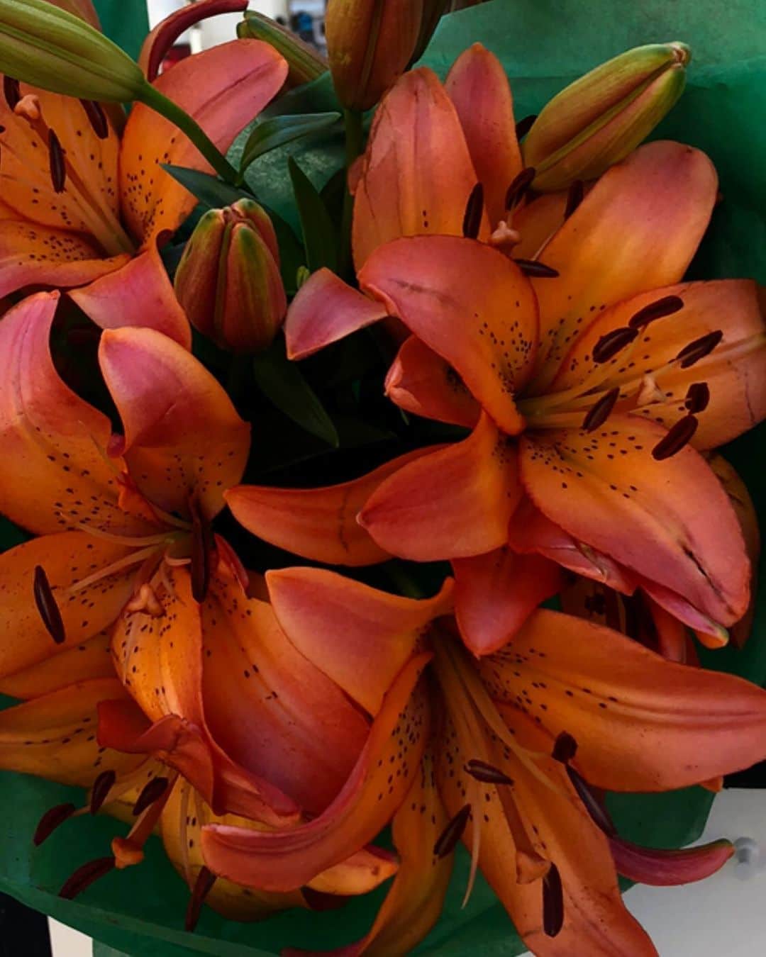 Victoria Leeのインスタグラム：「Lilies🖤」