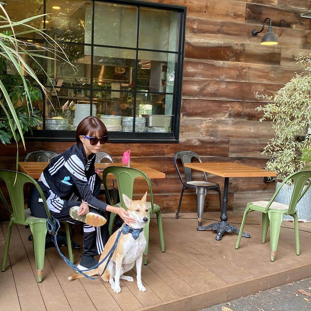 のインスタグラム：「#保護犬  だった、さとこの愛犬さとしくん🐕  さとしは生後二ヶ月(推定)の時、 香川県の山奥で保護されたそうです。 わたしとさとしが出会ったのは都内で行われていた譲渡会。 その日がわたしの誕生日だったので、 わたしの名前から取ってさとしに命名しました(笑)  今日はわたしの誕生日でもあり、 さとしと出会ってちょうど丸2年❤️✨  この2年でたくさんのハッピーを運んできてくれたさとしに感謝です^ ^  これから、わんちゃんねこちゃんを飼おうとしてる人は、 ペットショップだけではなく、 保護犬を家族に迎えるという選択肢を持ってくれたらうれしいです。  以前も載せた内容だけど、 一人でも多くの人に知ってもらいたい、 読んでもらいたいのでもう一度投稿させてください。  ———————————————————  #殺処分されてしまうペットの現状 ⠀  ペットと暮らす人が増えている一方、⠀ 殺処分されてしまうペットたちも数多くいることをご存知ですか？⠀ ⠀ 日本の保健センターに送られるペットのうち、約7割は殺処分されていて、2016年〜2018年の三年間で犬だけでも４万頭以上が殺処分されています。 ⠀ しかも殺処分される理由は、⠀ •引越し先がペット禁止なので •犬が大きくなって可愛くなくなったから⠀ など、人間の自分勝手な都合ばかりです。⠀ ペット先進国のドイツでは殺処分をまったく行わず、日本のように「処分場」が存在せず、「ティアハイム」とよばれる保護専門の施設に入るみたいです。⠀ ペット後進国といえる日本は、動物の命に関する意識は遅れていると言えると思います。⠀ ⠀ 少しでもこの状況が改善されるためには、 まずひとりひとりが現実を直視し自覚を高めることです。そうすることで、今すぐにでも減らすことができるはずです。 ⠀ まだまだたくさんの可愛い子達が殺処分されようとしてます。⠀ ⠀ 今日この投稿をきっかけにたくさんの人に知っていただき、 少しでも多くの支援の輪が広がることを祈ってます。⠀ ⠀ #殺処分ゼロを目指して ⠀ #保護犬を家族に迎えるという選択肢  #最後まで読んでくれてありがとうございます」